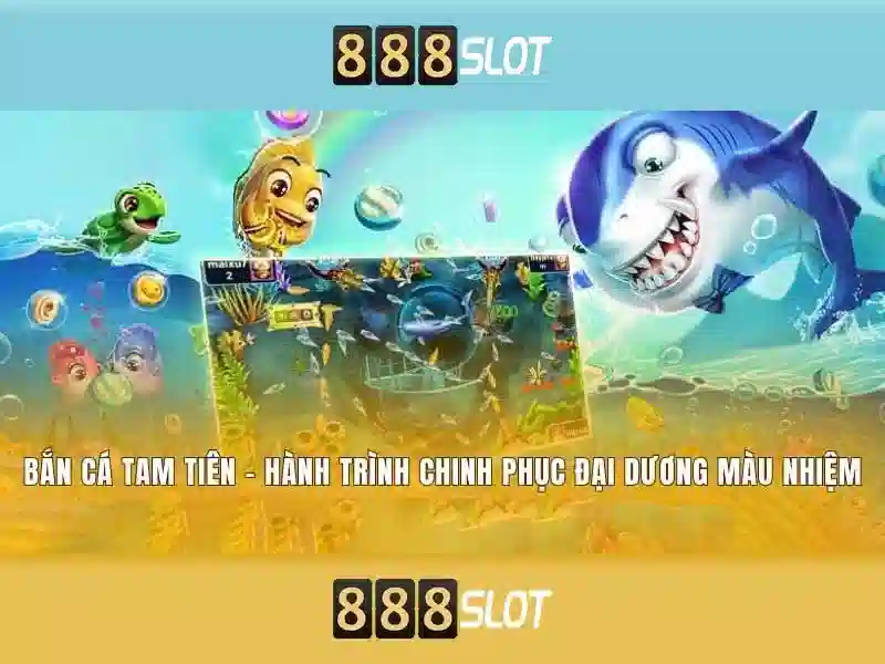 Hỗ trợ khách hàng và trải nghiệm di động