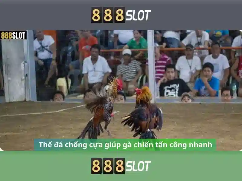 Giới thiệu về 888Slot