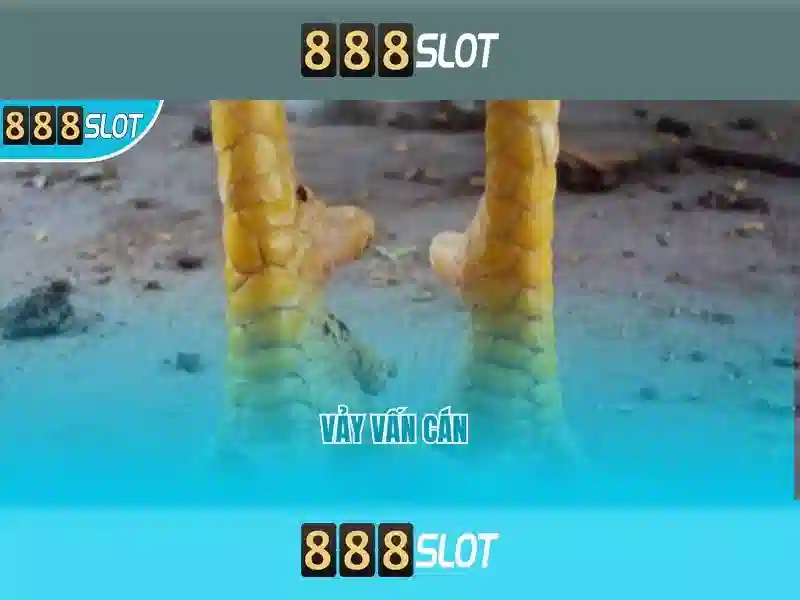 Việt Vị Trong Bóng Đá