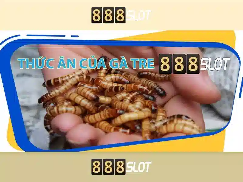 Việt Vị Trong Bóng Đá