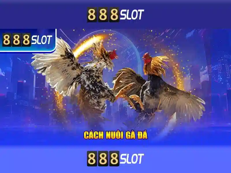 888Slot - Nền tảng slot trực tuyến nổi bật