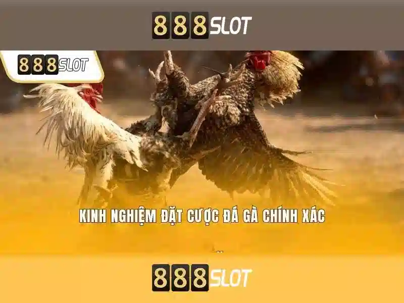 Khác biệt với đối thủ Khác biệt với đối thủ