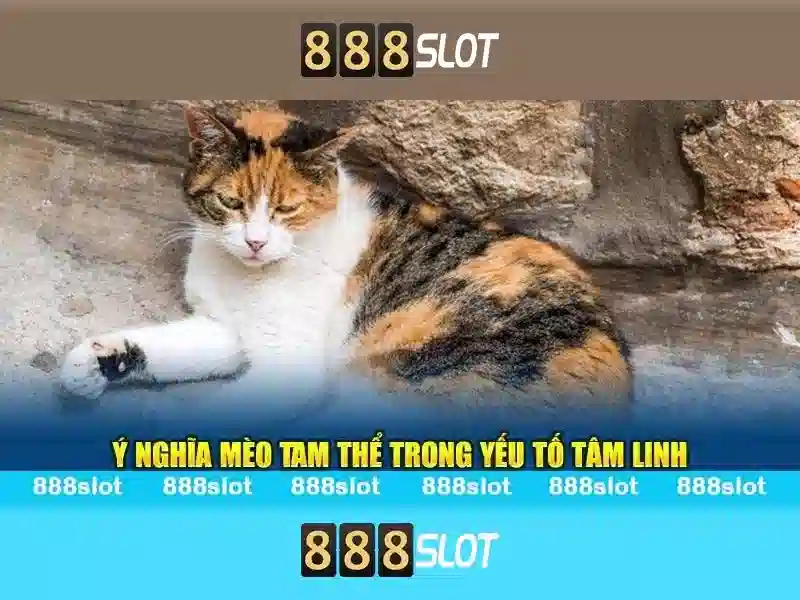 Khám phá 888slot