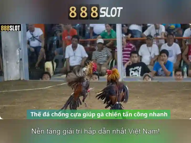 Giới thiệu về 888slot Giới thiệu về 888slot