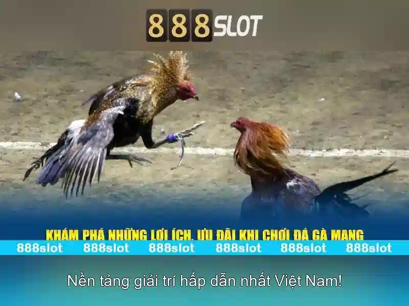 Giao diện 888slot trên di động