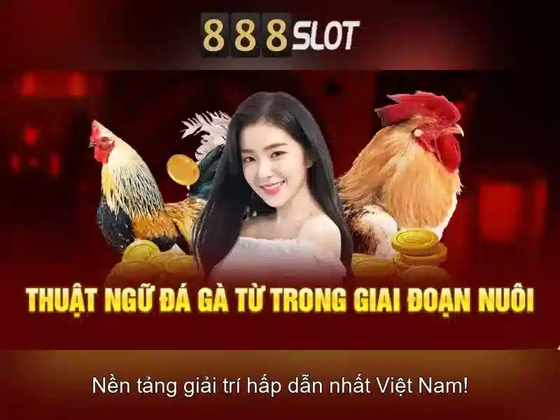 Khuyến mãi và cách bắt đầu với 888slot