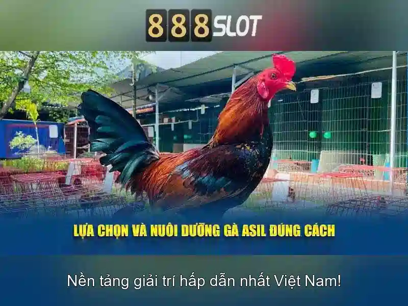 888slot – nền tảng slot trực tuyến phổ biến
