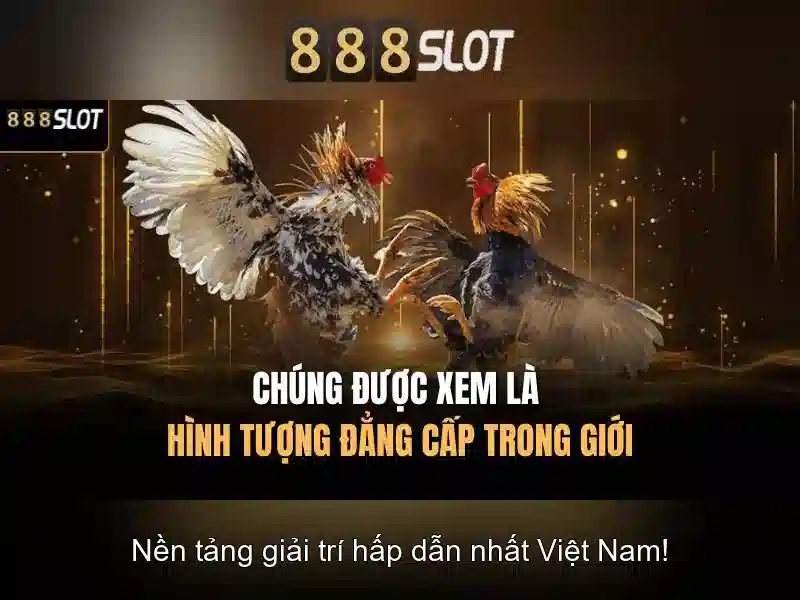 Trải nghiệm người dùng và giao diện