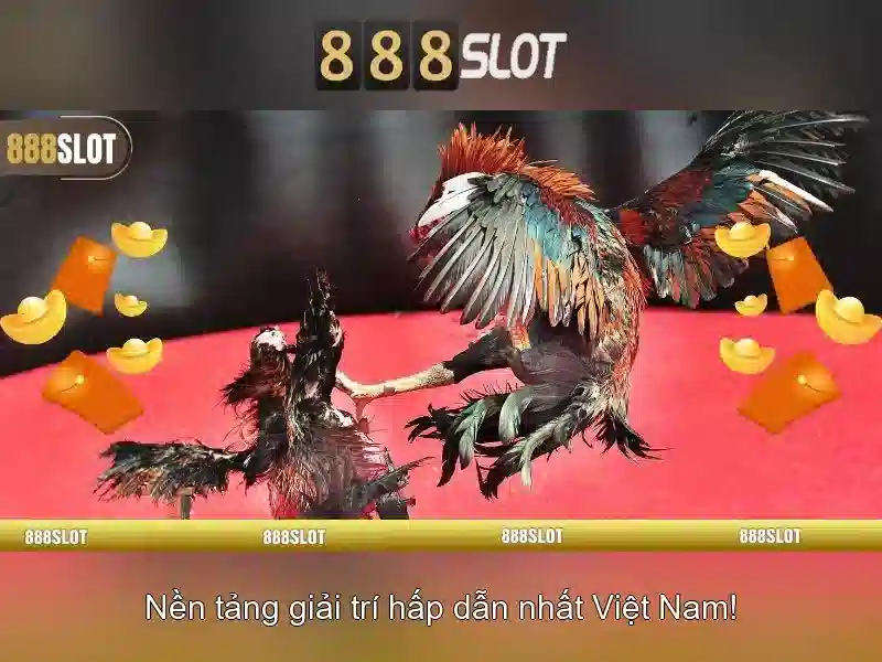 Khuyến mãi và chương trình khách hàng thân thiết