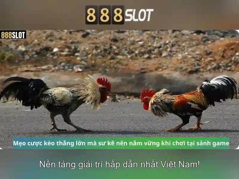 Việt Vị Trong Bóng Đá