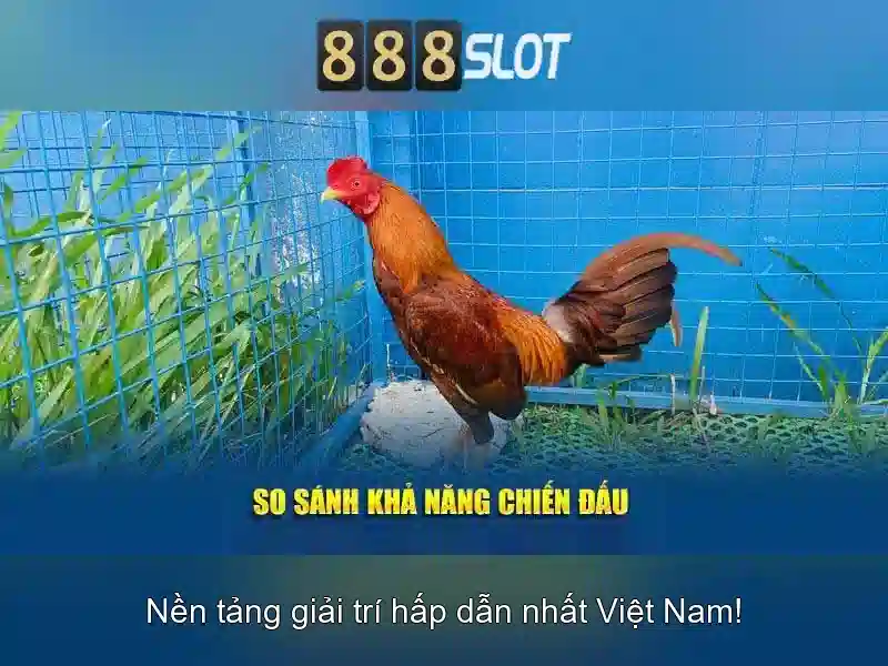 slot machine that pays the most.html - poto.edu.vn